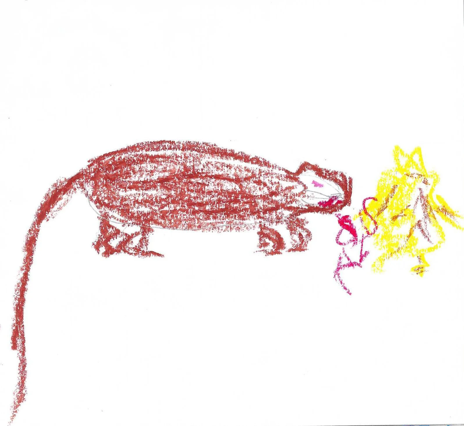 Ratticus[3].jpg