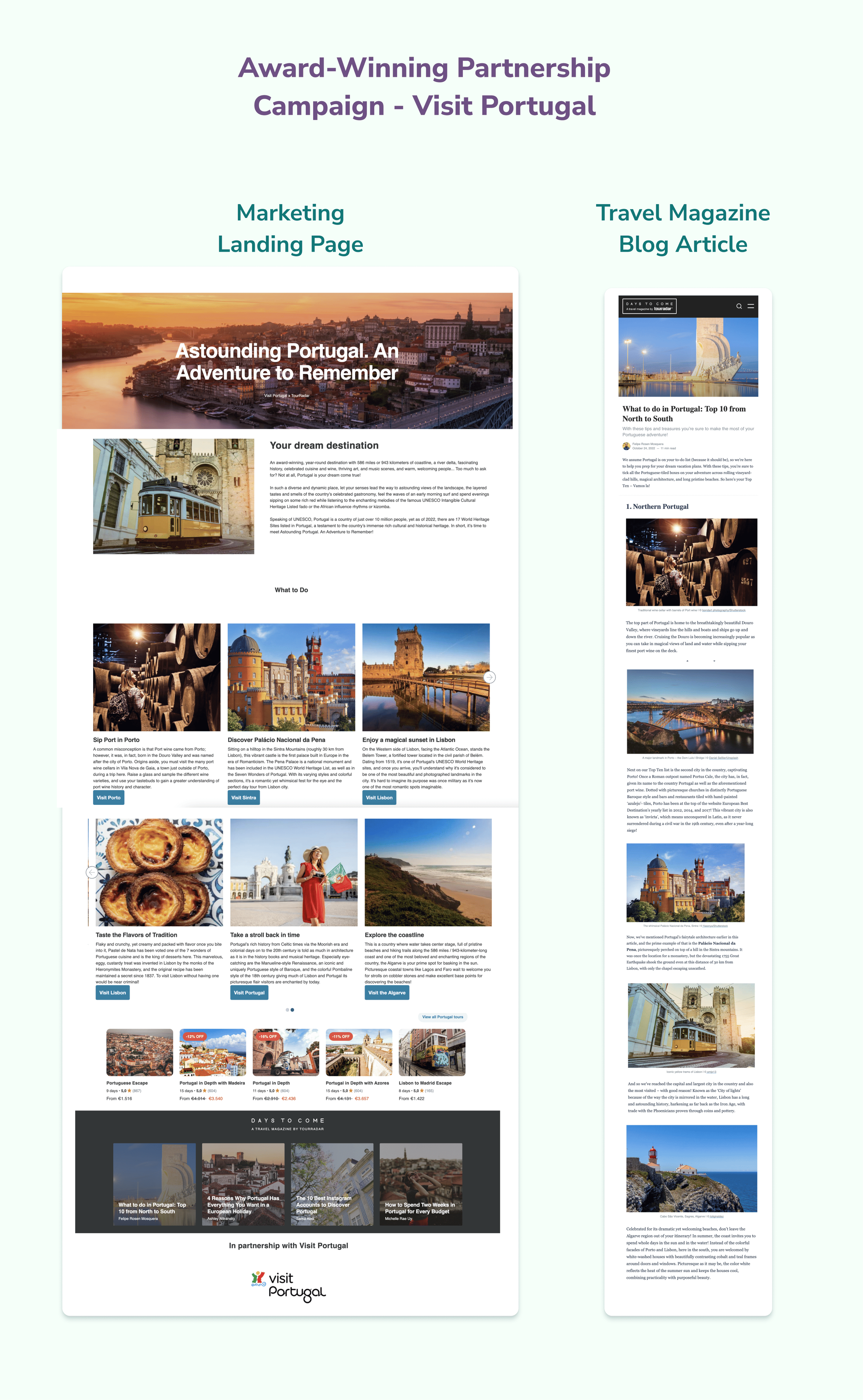 Campaign Landing Page and Blog Article