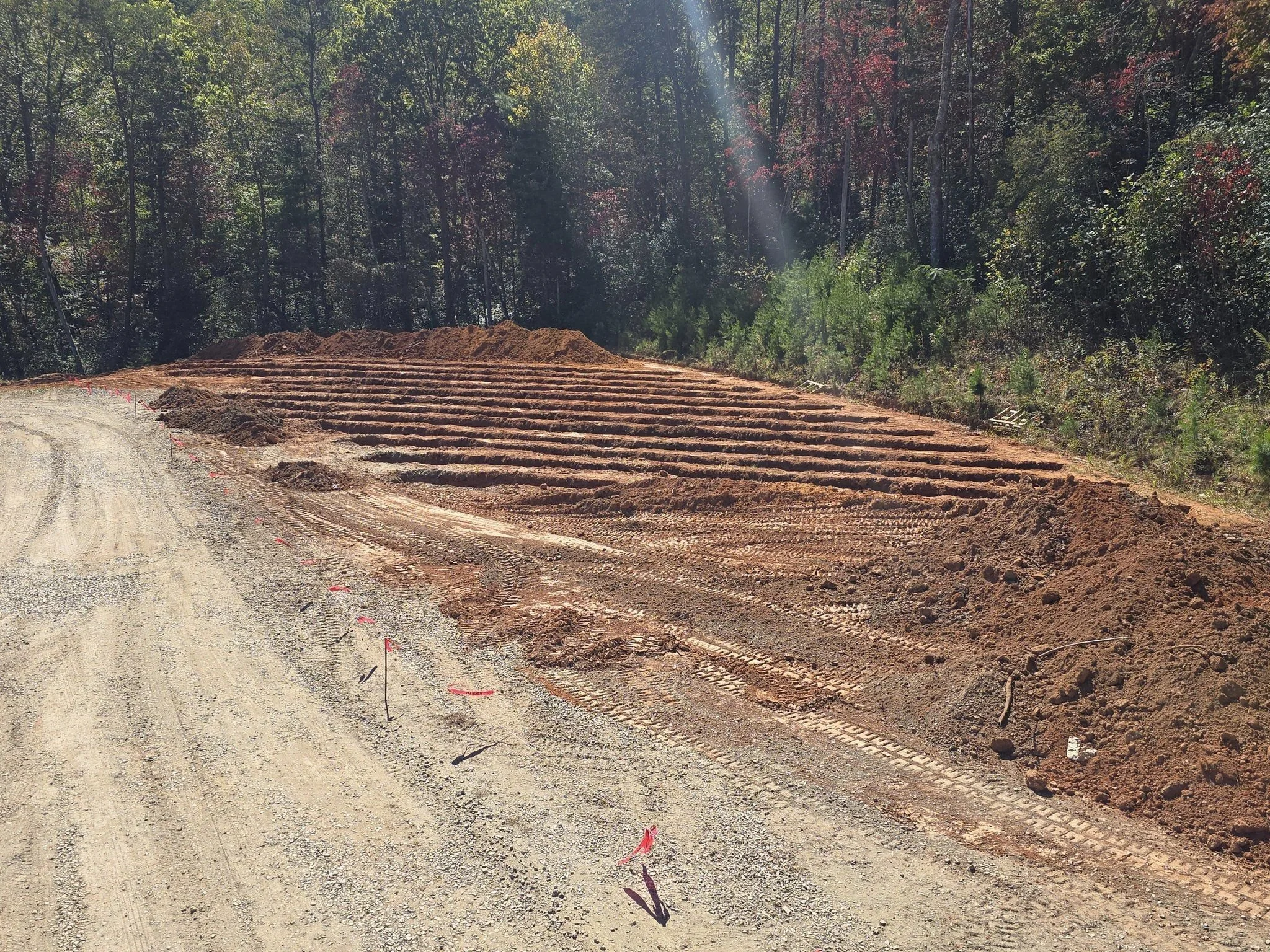 Construction site with dirt and tire tracks along a curved dirt road, with a wooded forest background.