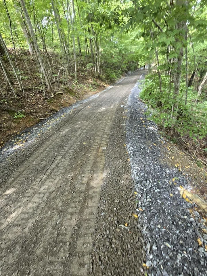 A dirt road in a wooded area with trees and green foliage on both sides, with gravel and stones along the edges.
