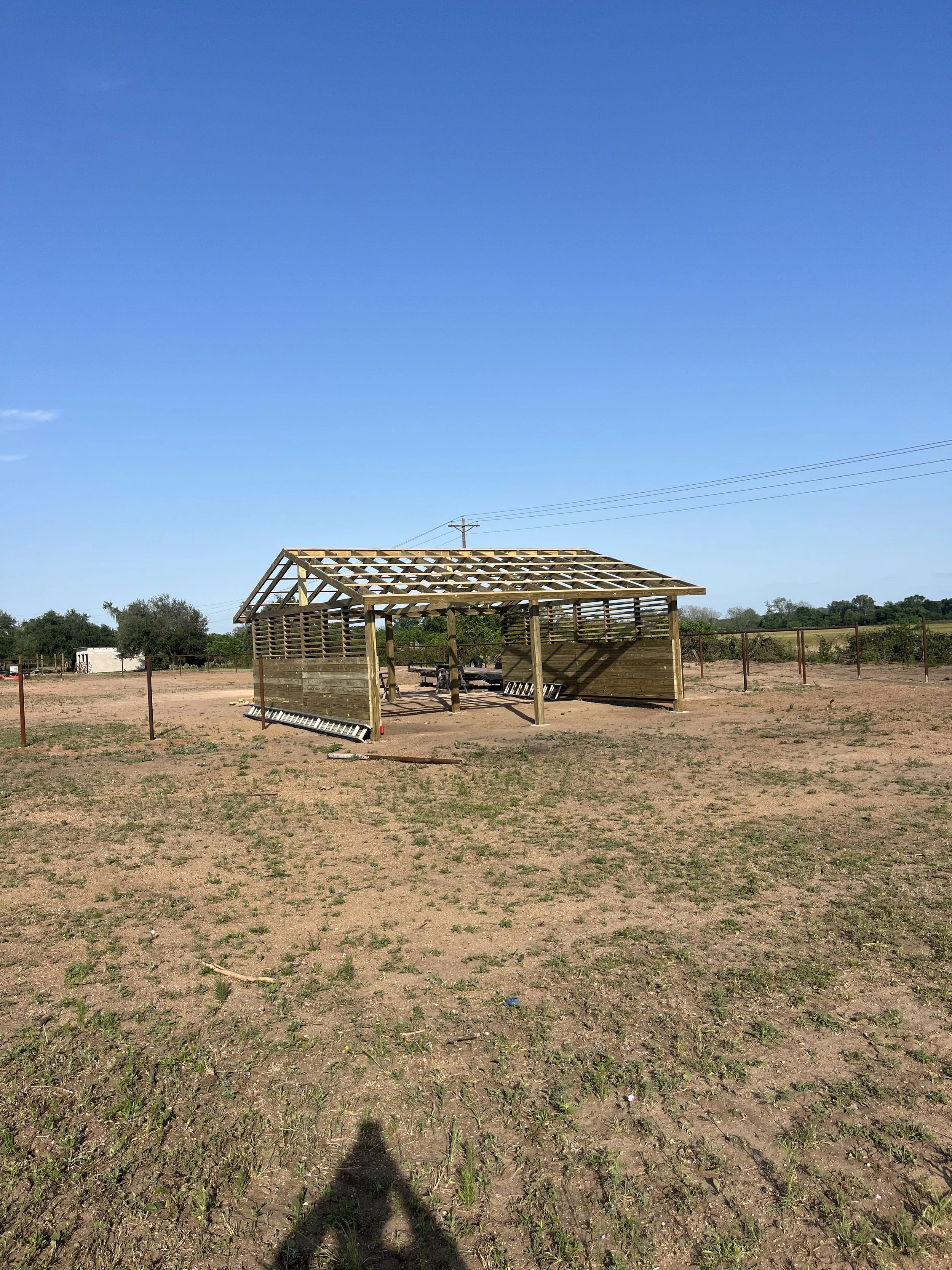 A partially constructed wooden shed or shelter in an open, dry field under a clear blue sky.
