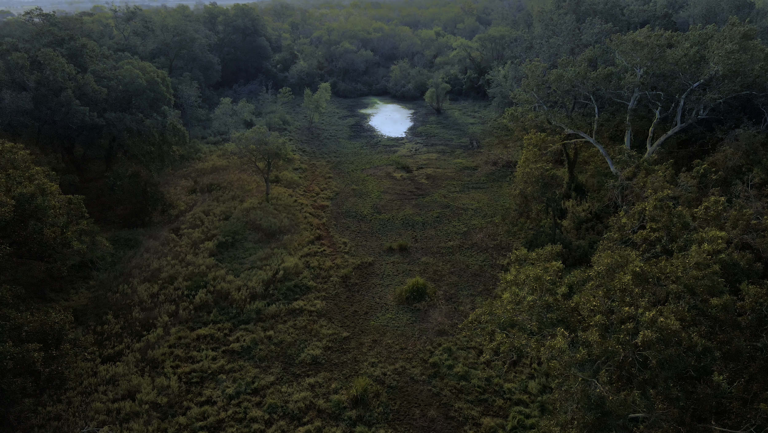 A lush, green valley with dense trees on either side, a small pond in the distance, and a narrow trail running through the vegetation.