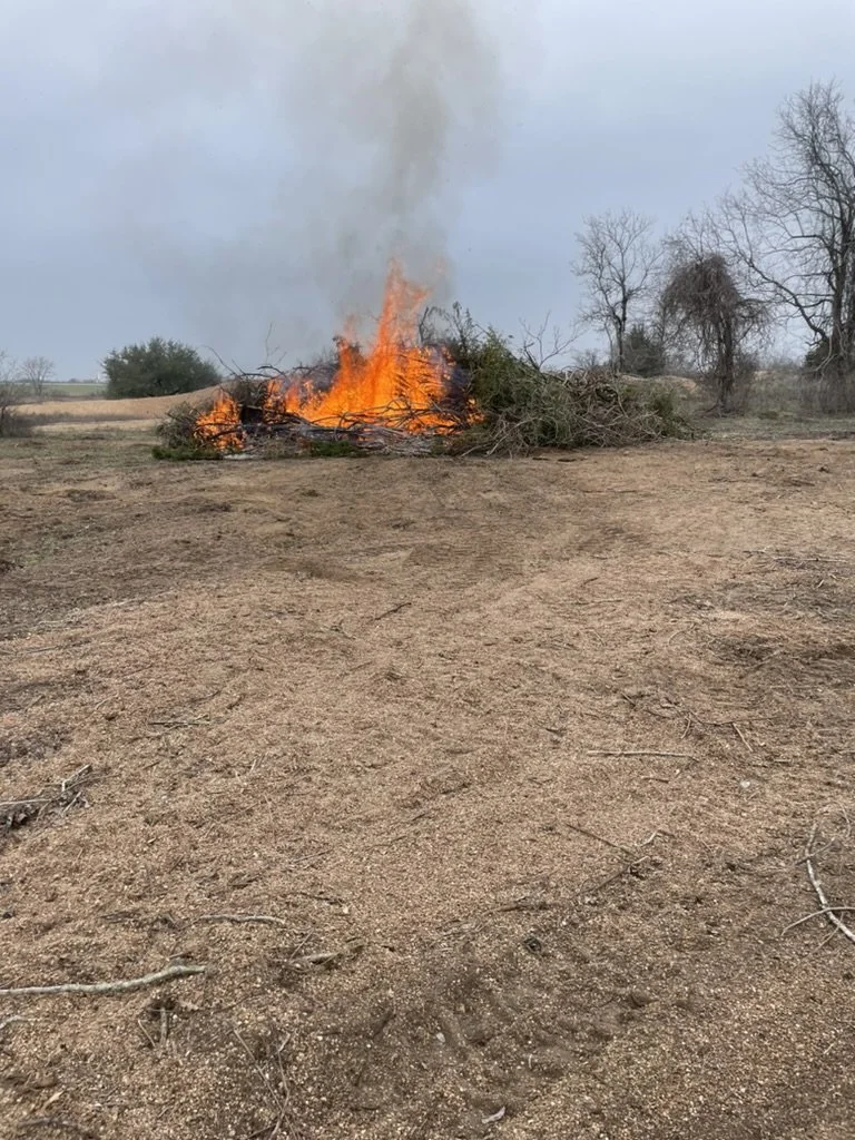 A small pile of sticks and branches on fire in a clearing with bare trees and cloudy sky in the background.