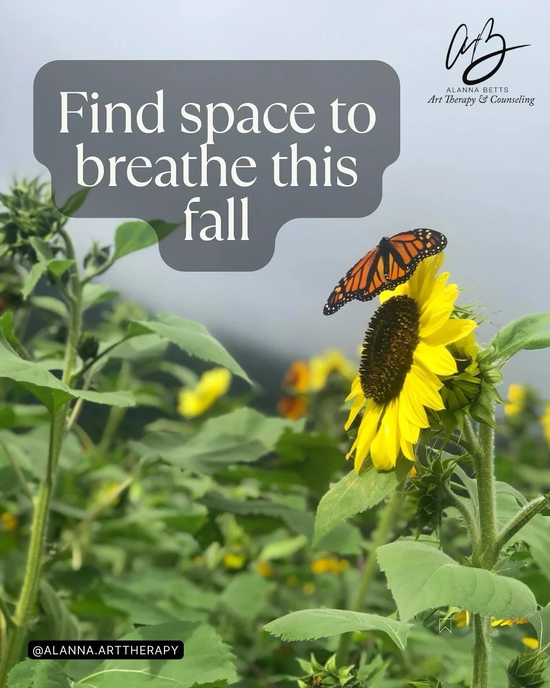 Fall is a Season of Change and Healing

It&rsquo;s the perfect time to focus on your own growth and renewal.
I have limited openings this fall for in-person sessions in Reston and virtual therapy throughout Virginia.
Whether you&rsquo;re navigating p