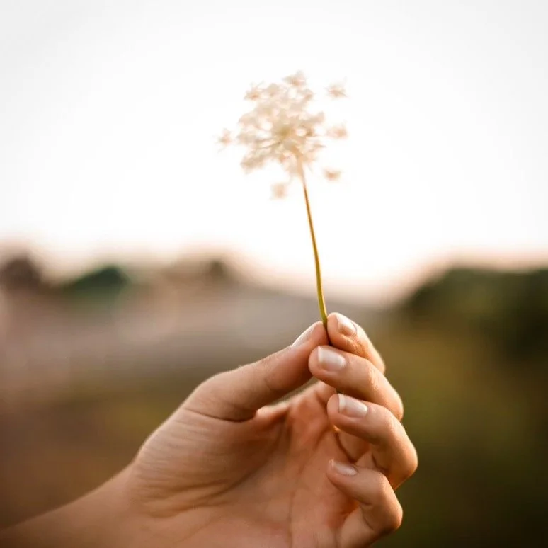 Grief and hope are not opposites.
You are allowed to feel terrified and hopeful.
You are allowed to feel joy and feel deep grief for previous losses. 
You are allowed to take it one ultrasound, one milestone, one day at a time. 
I wrote a full blog p