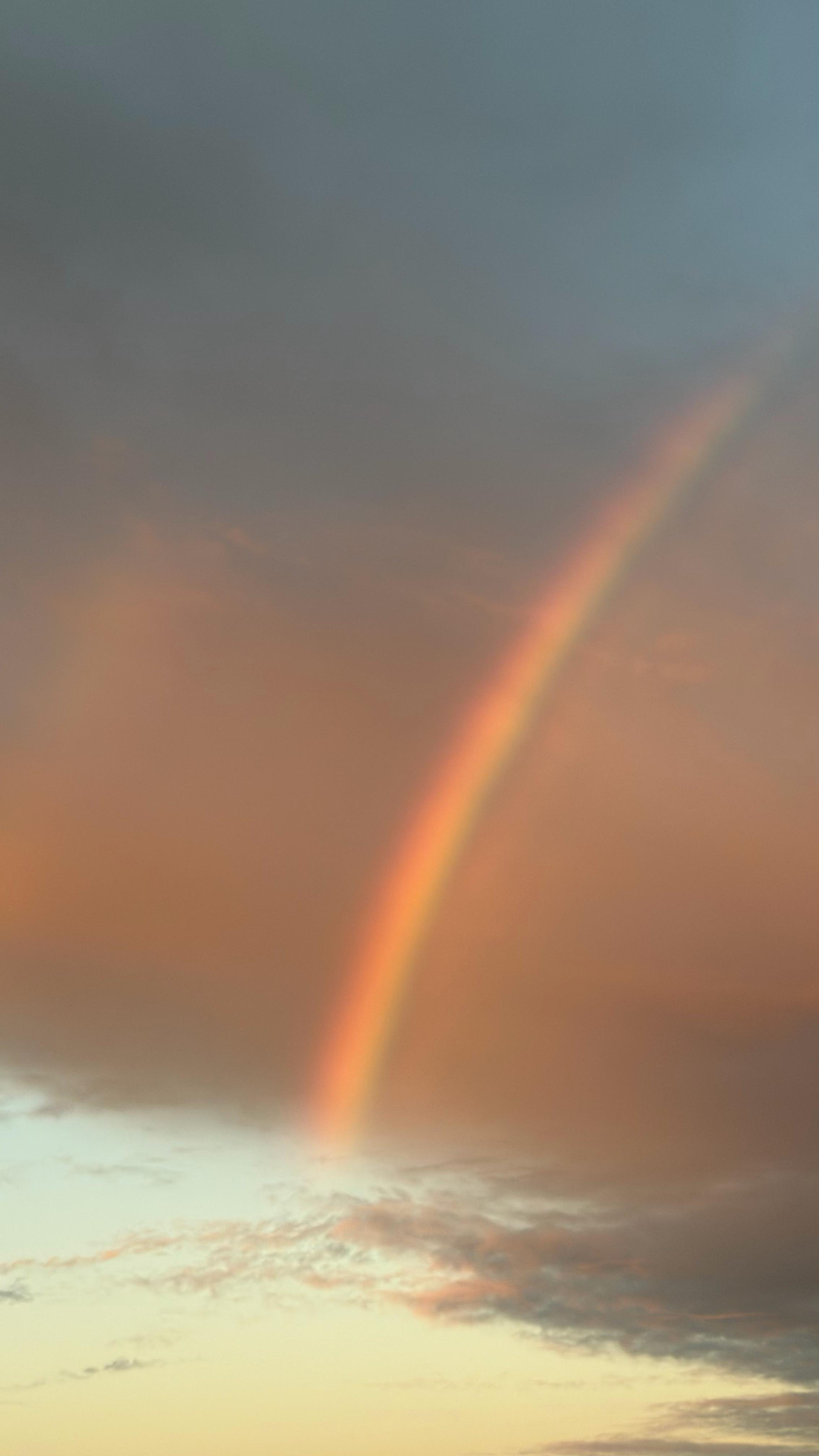 WhatsApp Image 2026-01-08 at 18.24.04.jpeg