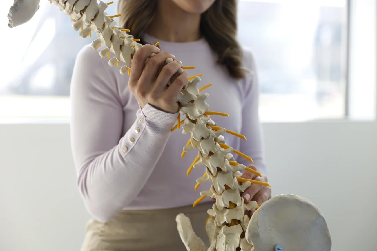 A woman holding a model of a human spine in front of a window.