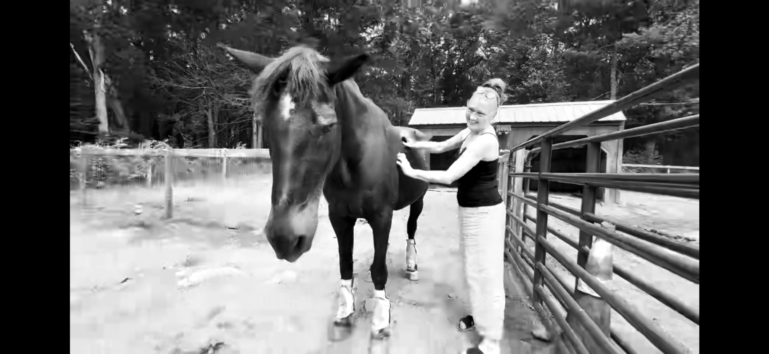 A woman with glasses smiling while petting a large horse in a fenced outdoor area with trees and a shed in the background.