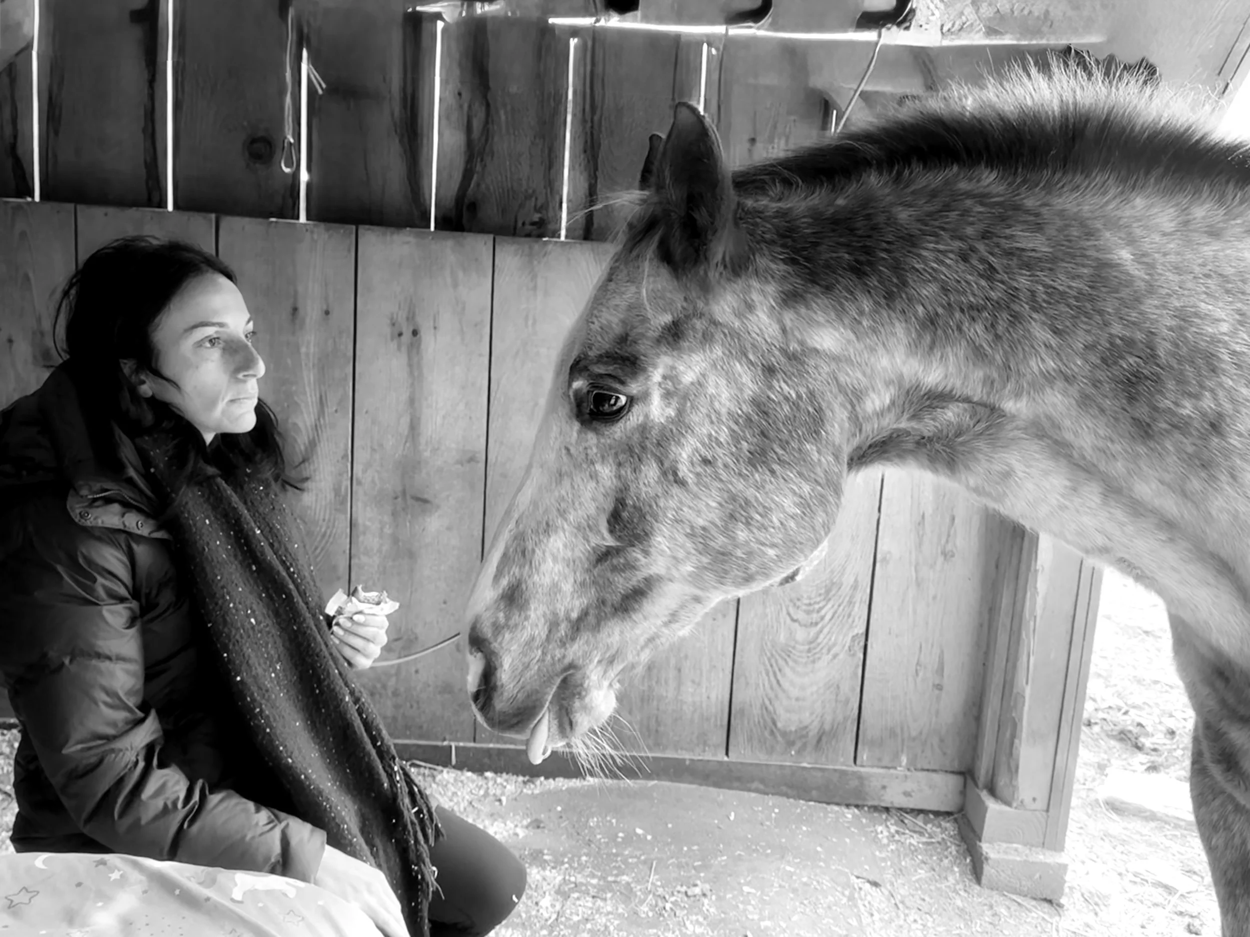 Being invited into the herd and letting them calm our mind and fill our hearts with peace and safety.