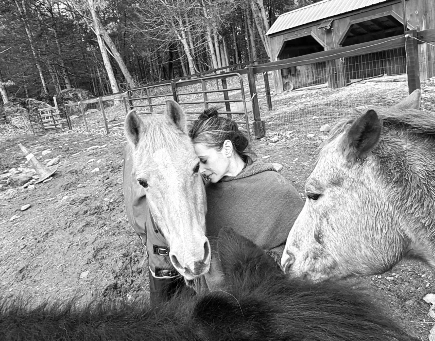 Be surrounded by such a healing herd instantly brings you to the now moment and let you feel safe and regenerate feelings of love and kindness