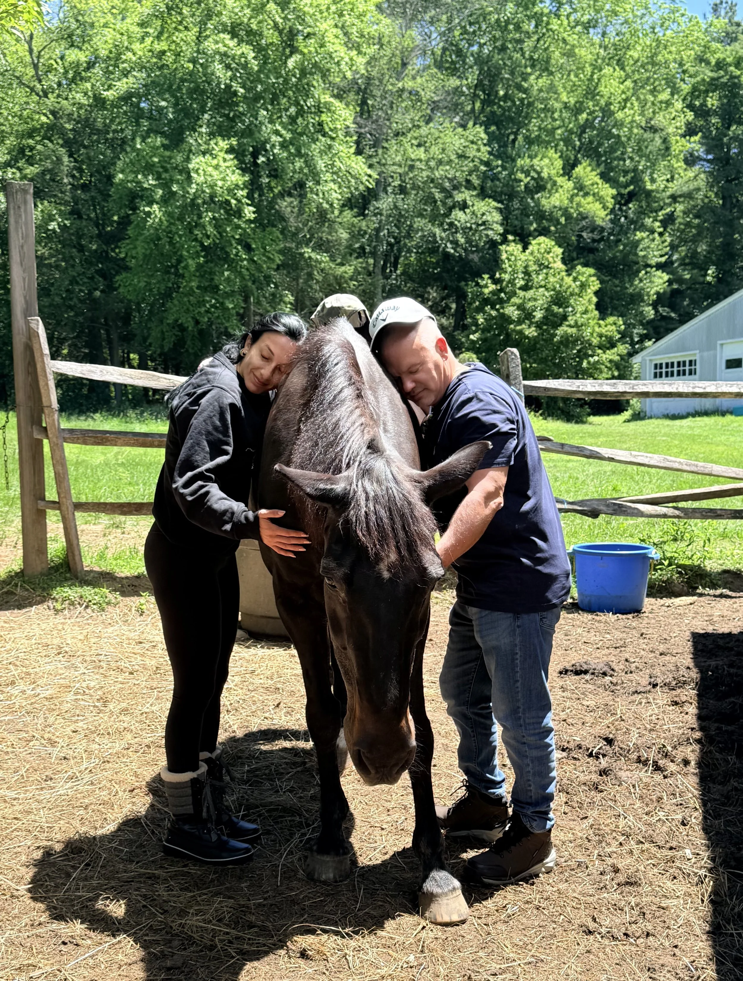 Horses doing their magic, resetting and regulating nervous systems and letting people find peace and calm