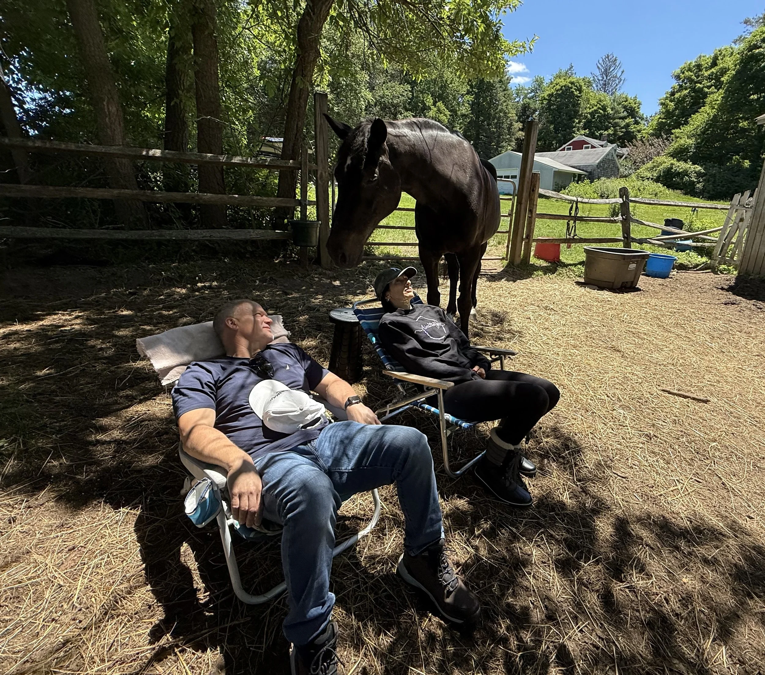 Customize session for these beautiful people with horses, helping to support their nervous system and stress responses