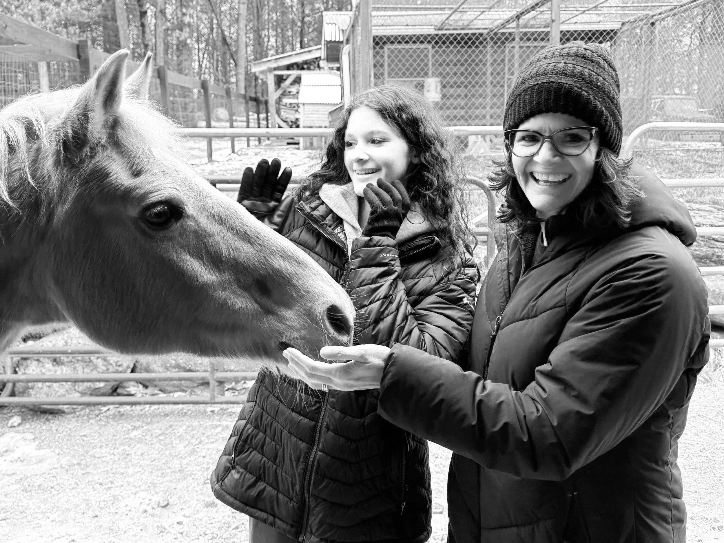 Two women in winter jackets and gloves interact with a horse in an outdoor enclosure. One woman has curly hair and is smiling, while the other is wearing a knit hat and glasses. Trees and a wooden structure are visible in the background.