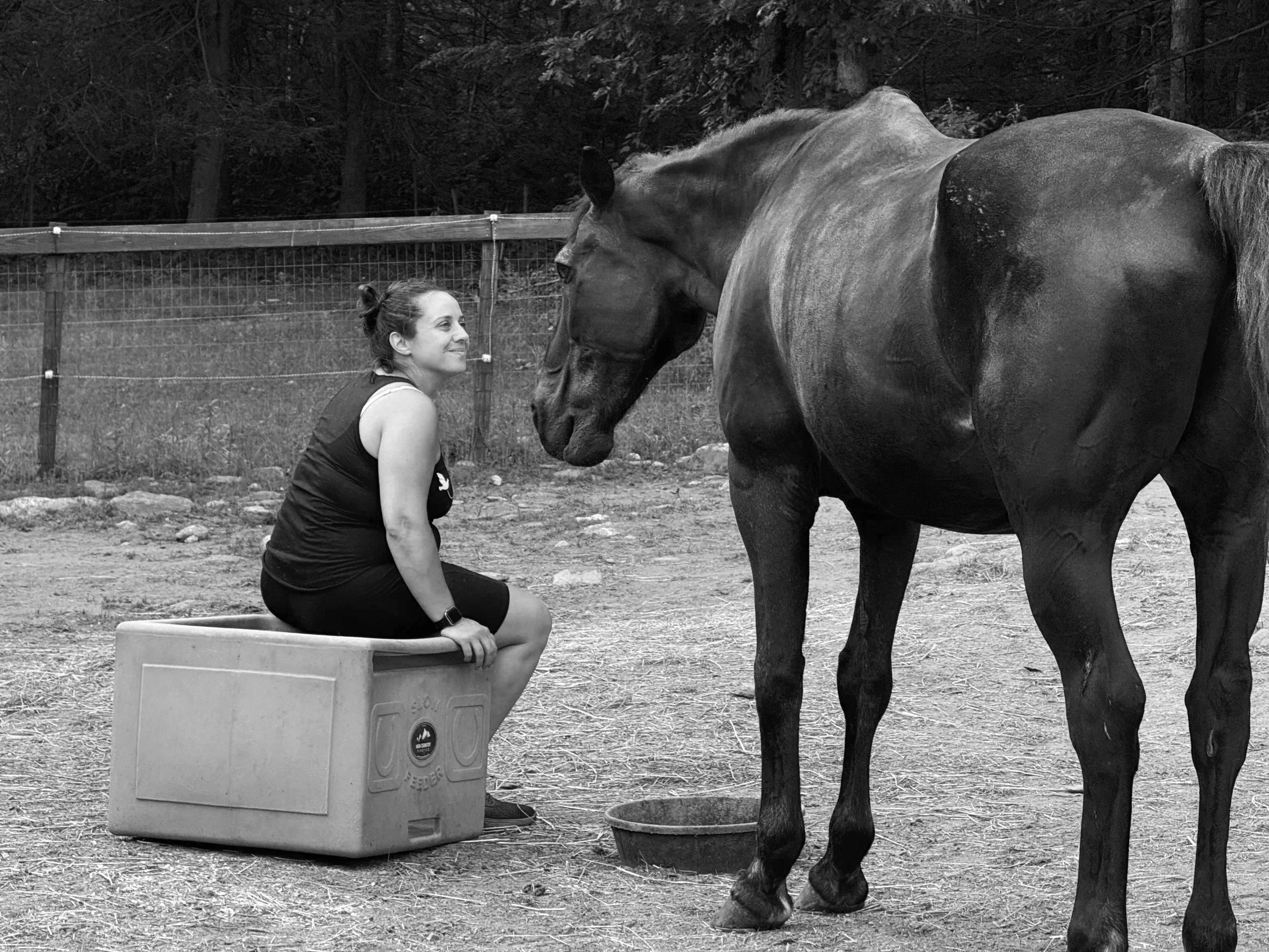 A woman kneeling in front of a horse with a fence and trees in the background.