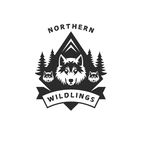 Logo_transparent background.png