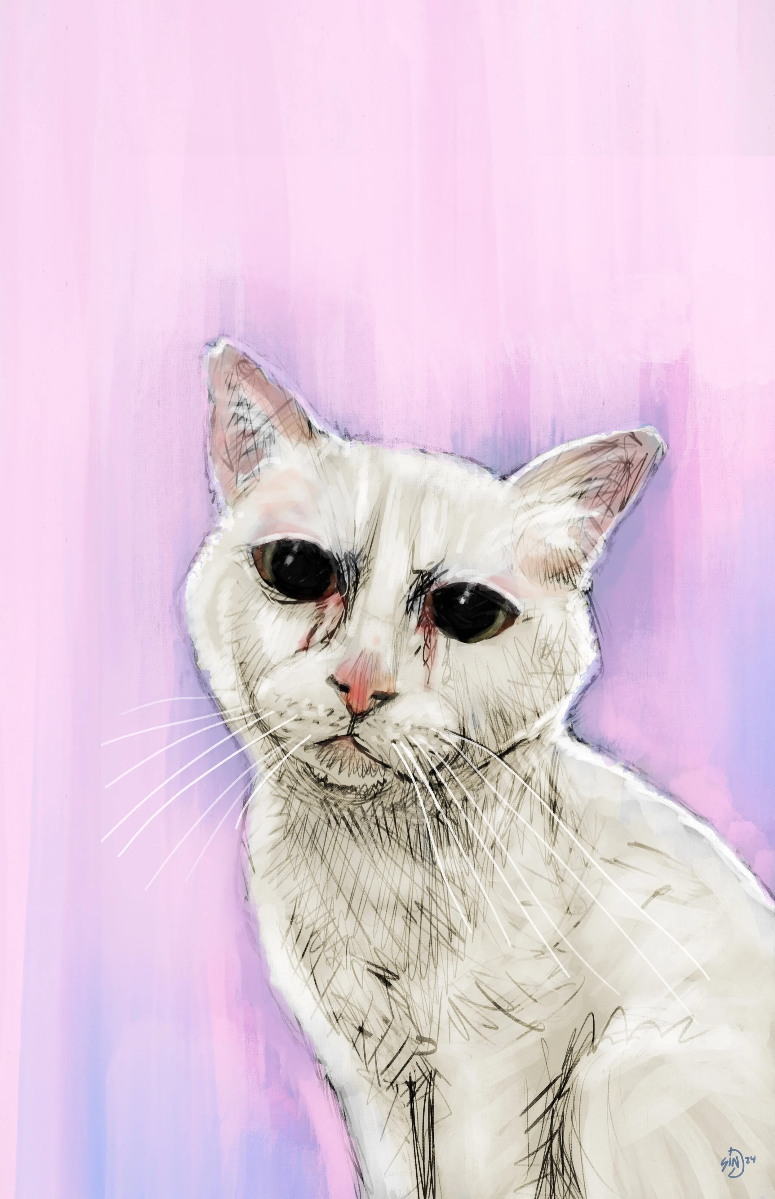 Digital drawing of a white cat with large black eyes and pink nose against a pink and purple background.