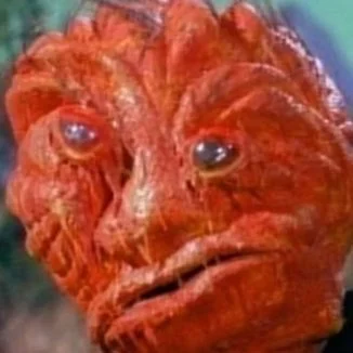 Close-up of a red, alien-like creature with textured skin and large, expressive eyes.
