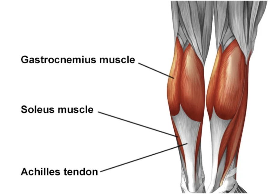 Tips from your Yoga PT [with YogaSource Palo Alto] 