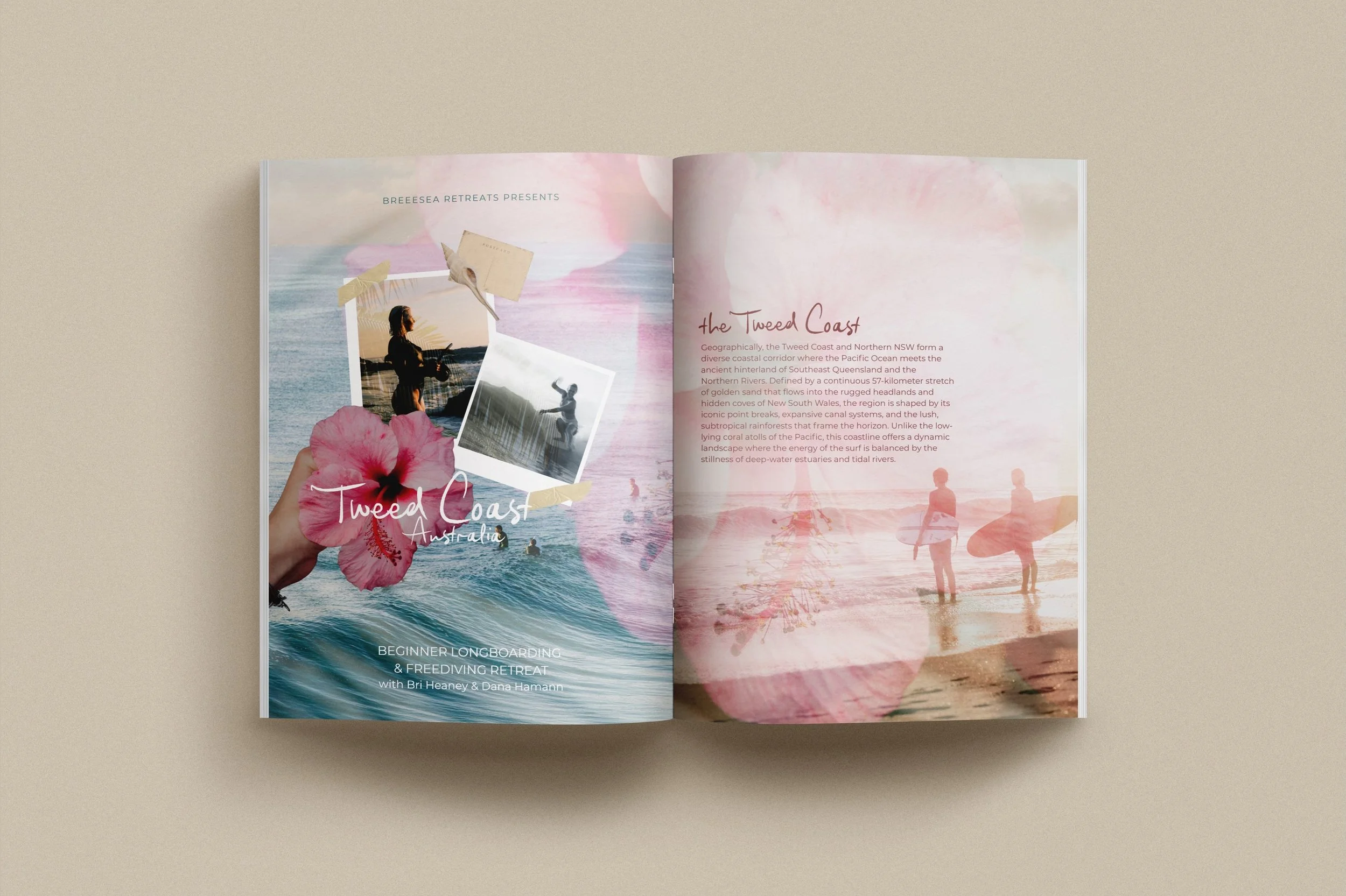Brochure Design + Social Media Assets for @breeesea x @dancelightly_ 🌊