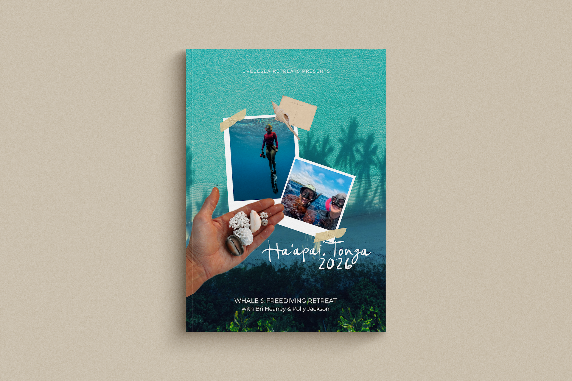 HAAPAI BROCHURE.png