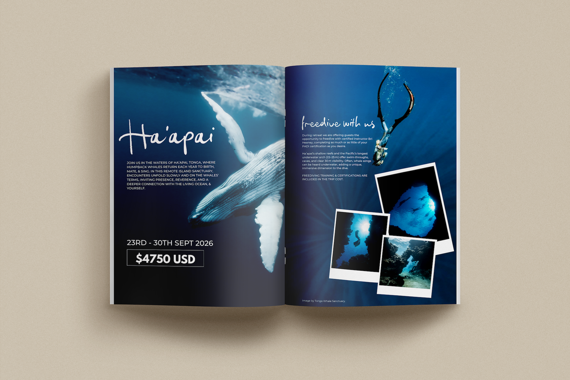 HAAPAI BROCHURE 1.png