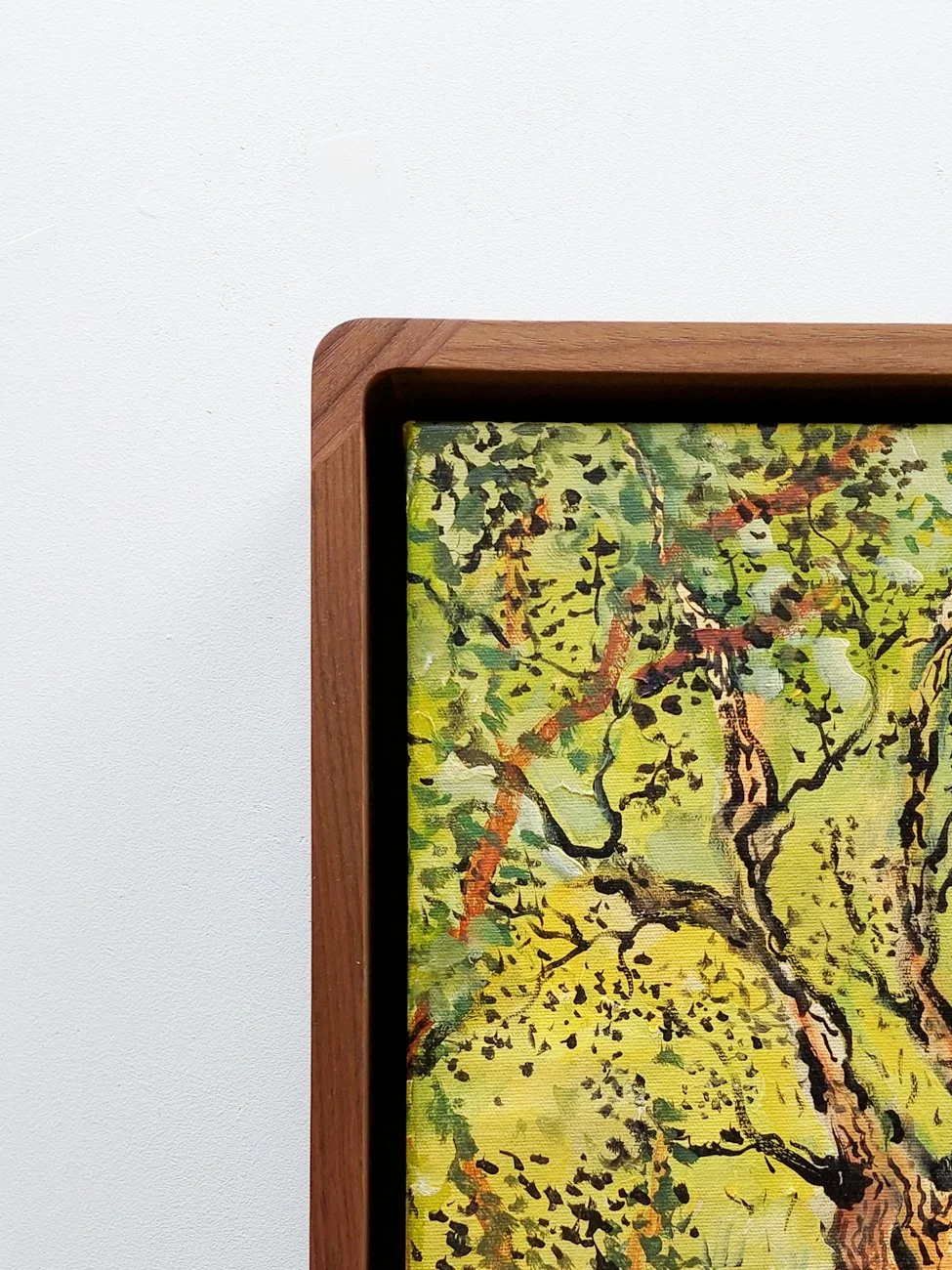 Rounded corner spline