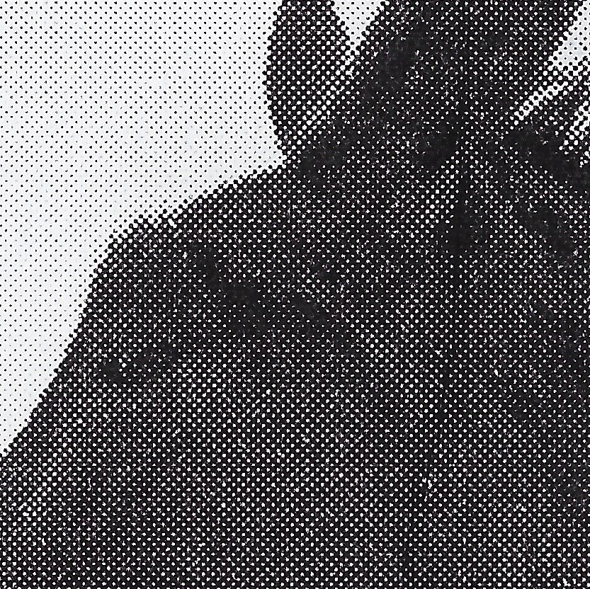 scan_sara_janini_burro-copia-detalle.jpg