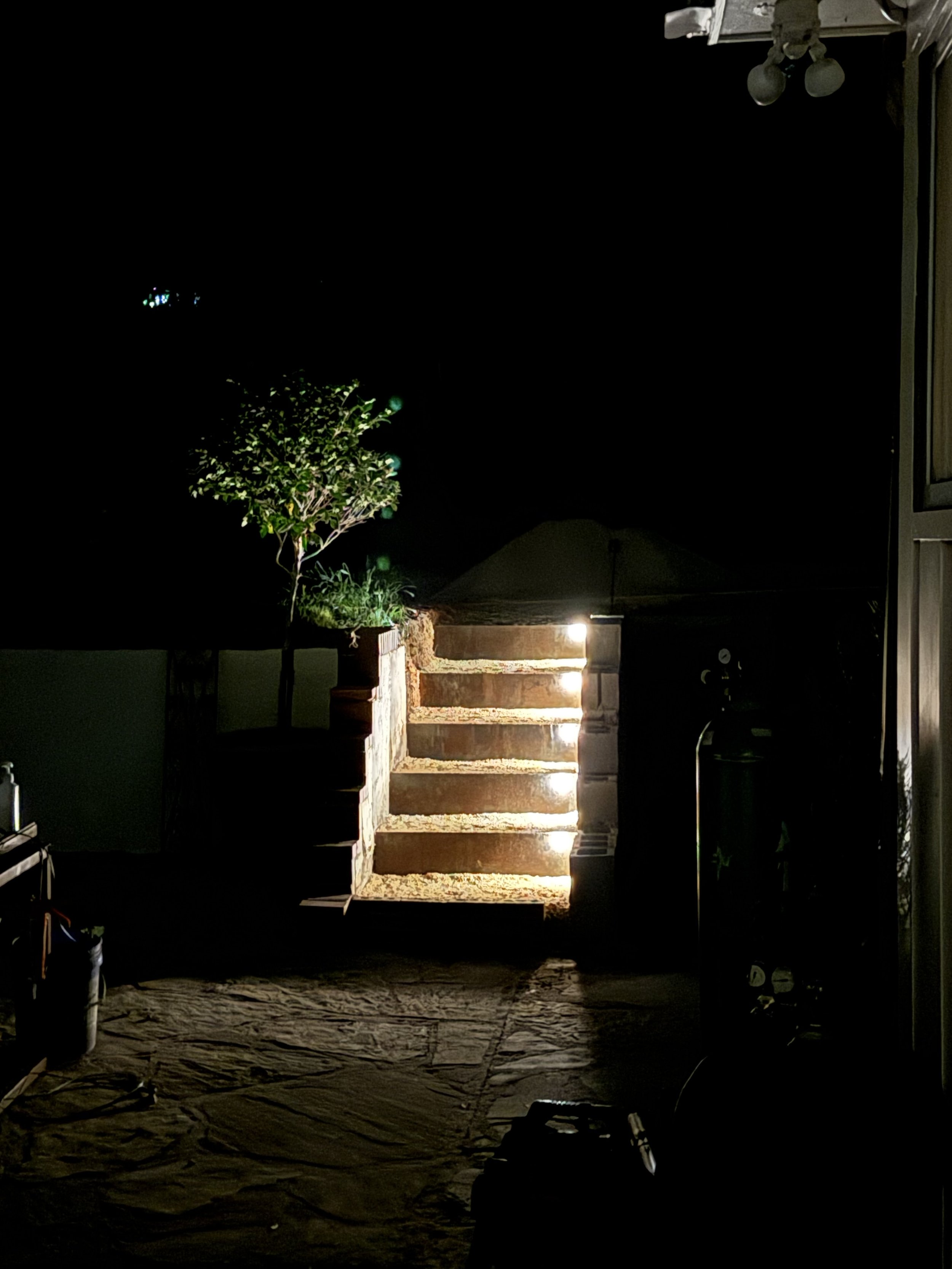 Nighttime outdoor scene with illuminated steps descending a brick pathway, a potted plant to the left, and various objects and structures faintly visible in the dark.