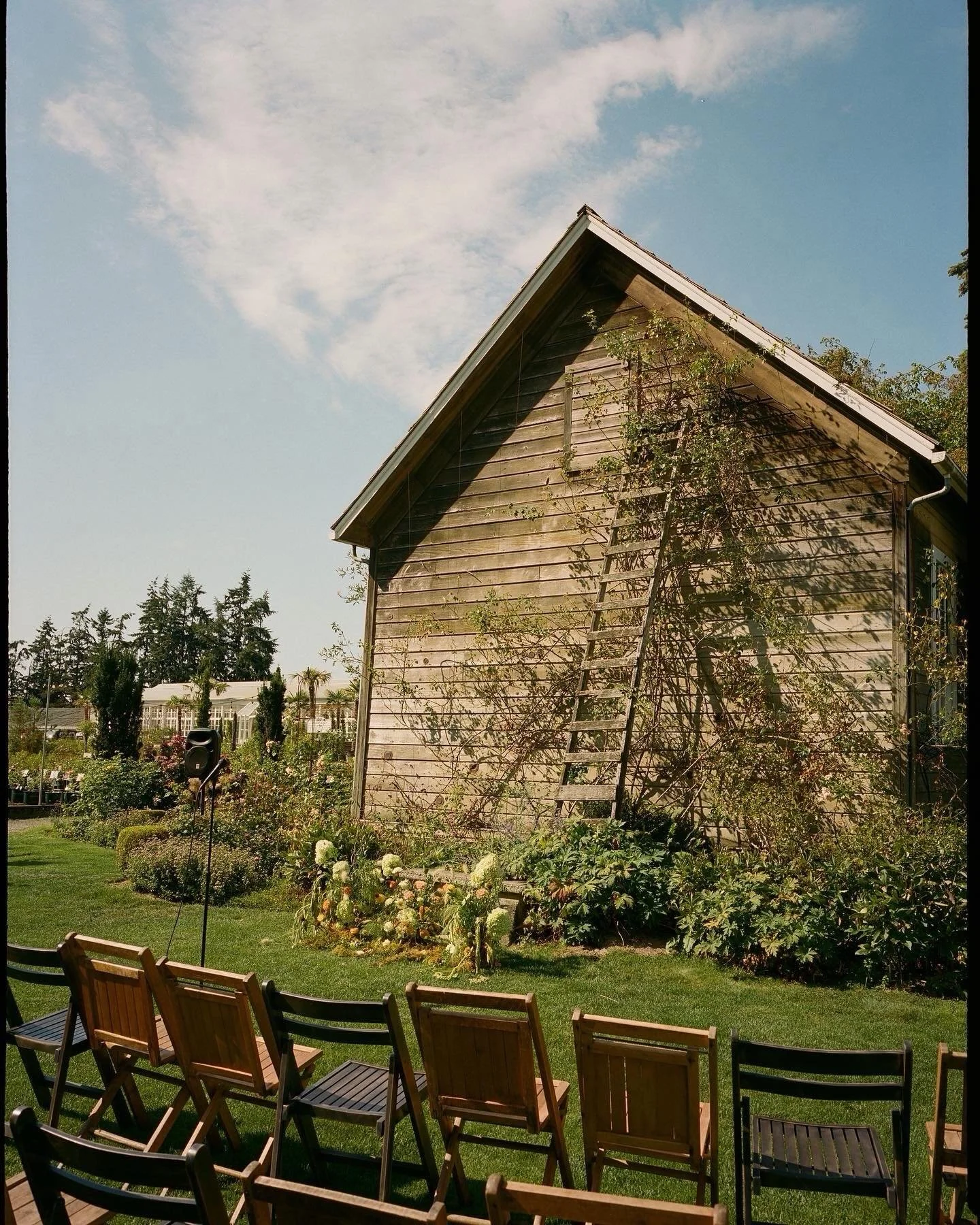 All the things I would recommend you to do if you haven&rsquo;t hired a wedding planner yet.
👉🏽If you have never planned a wedding before I would purchase my digital download &ldquo;DIY your wedding&rdquo;. It is an affordable too that will guide y