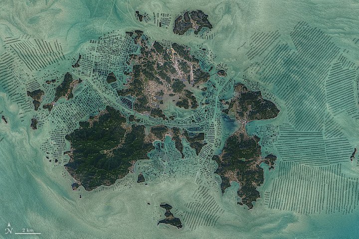 image 1.jpg