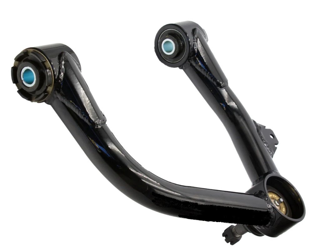 316033 BJUCA - 2026_2_25.jpg