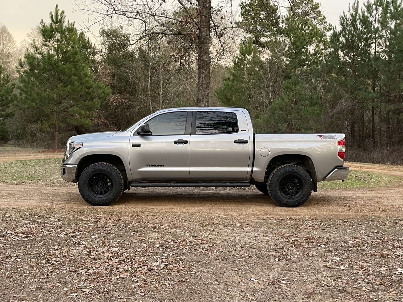 A silver pickup truck parked on a dirt patch with trees in the background.