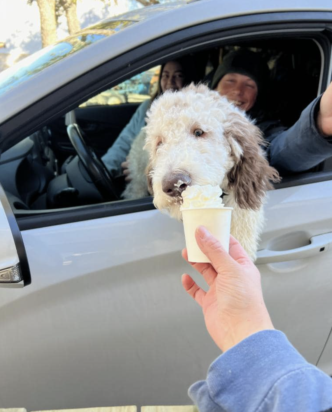 Pup cup at the Duck Blind Drive-Thru