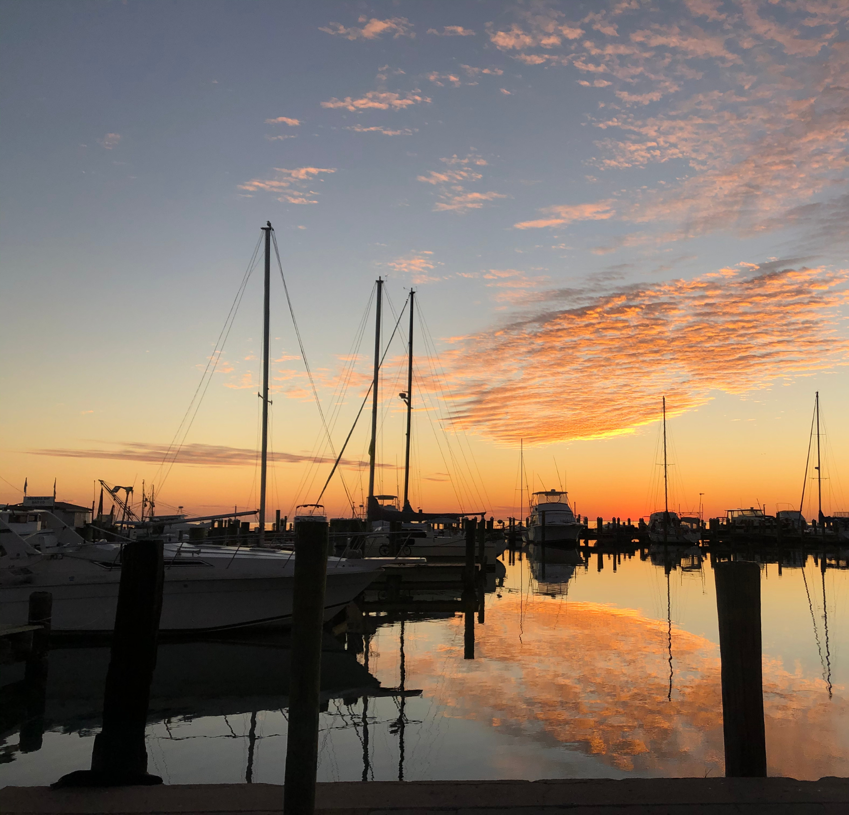 Boats in Fulton Harbor at sunrise. 