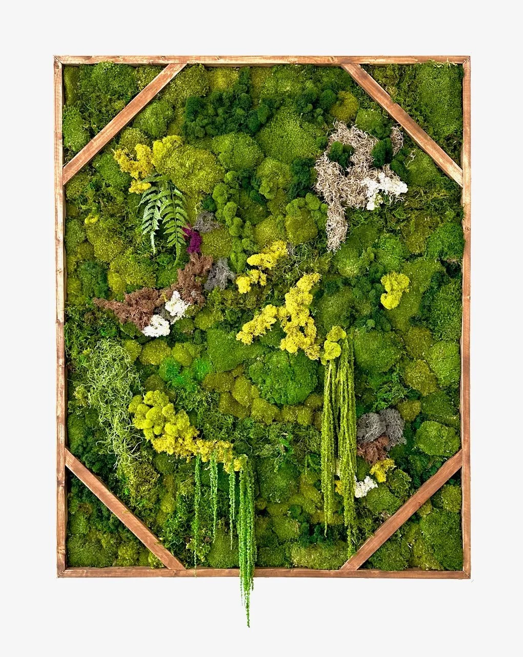 IMG_2399.jpg