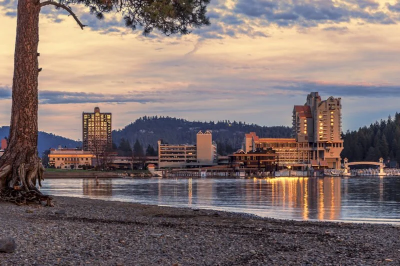 A city skyline viewed from a lakeshore during sunset, with buildings reflecting on the water and a large tree on the left.
