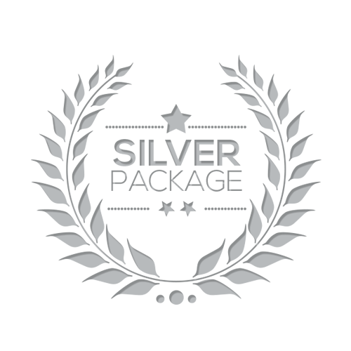 silver-package (1).png