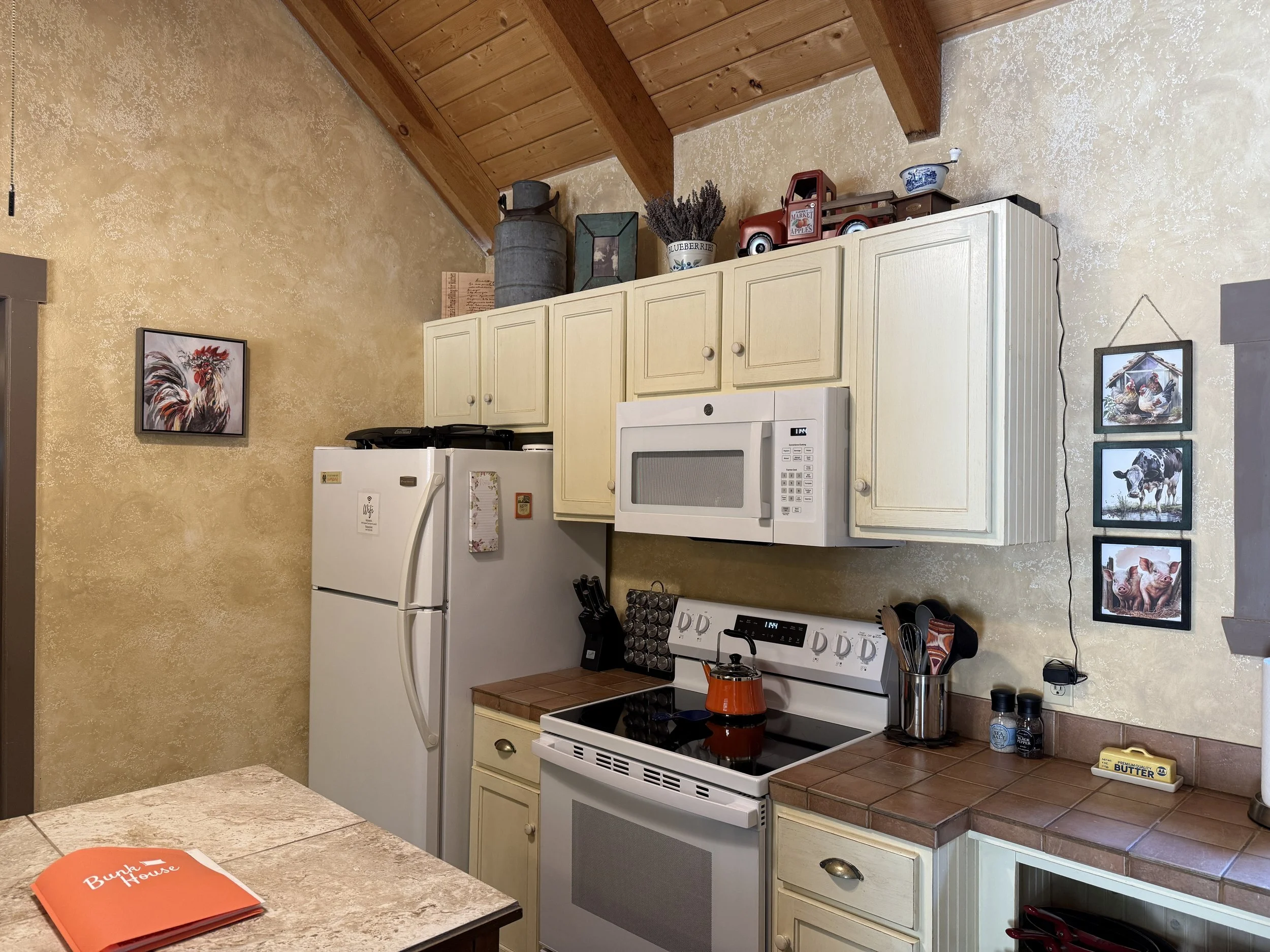 Kitchen-Stove-And-Cabinets-Bunkhouse-6971.JPG