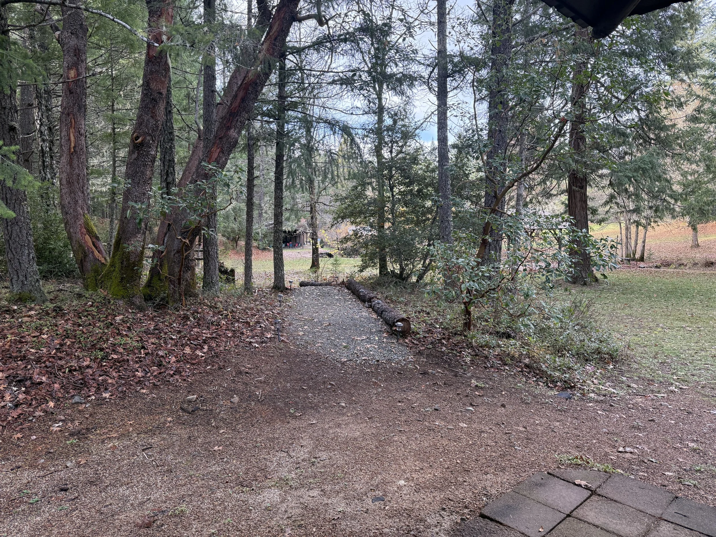 Nature Trail View Amethyst Suite