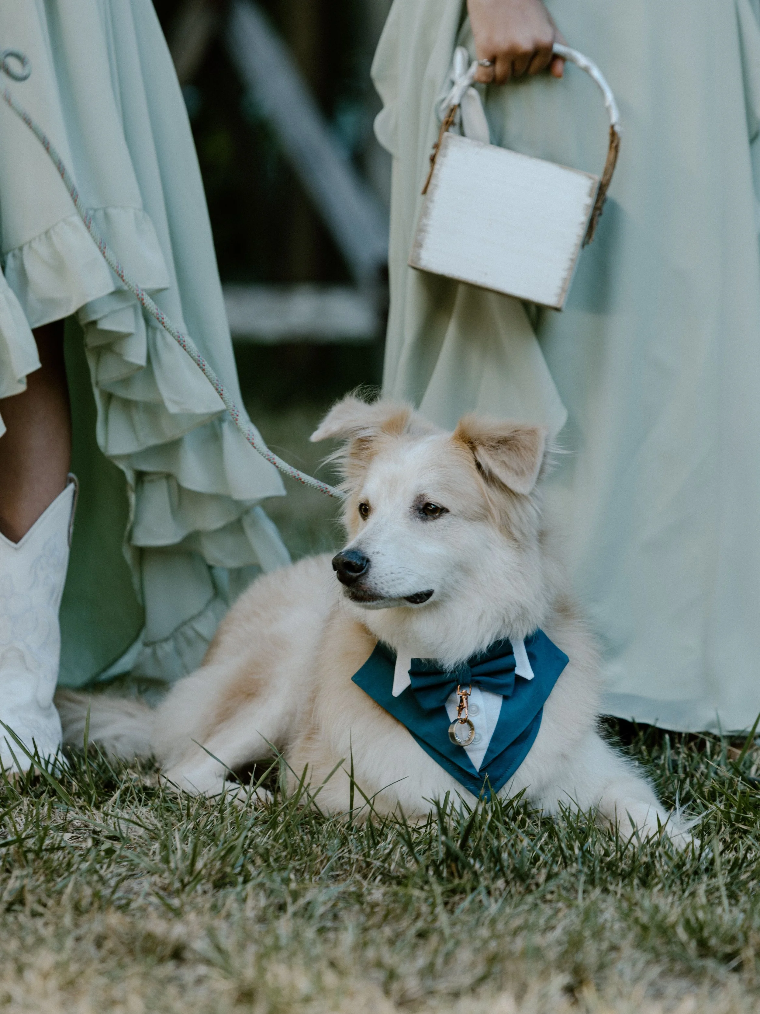 Whisper-Canyon-Ranch-Wedding-35.jpeg