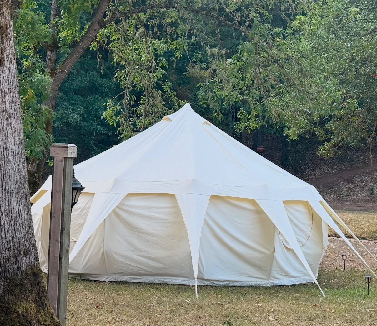 Luna Belle Tent - 16ft Tent