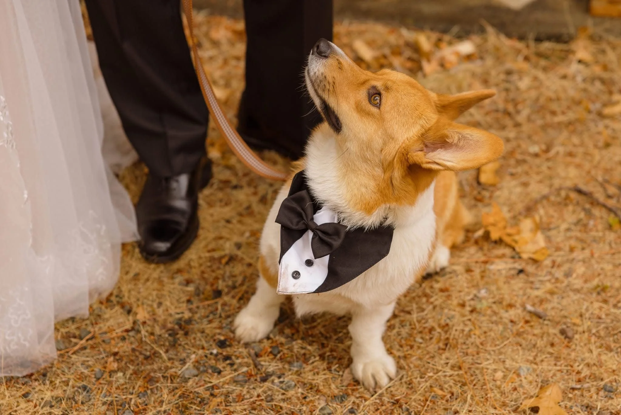 Whisper-Canyon-Ranch-Weddings-54.jpeg