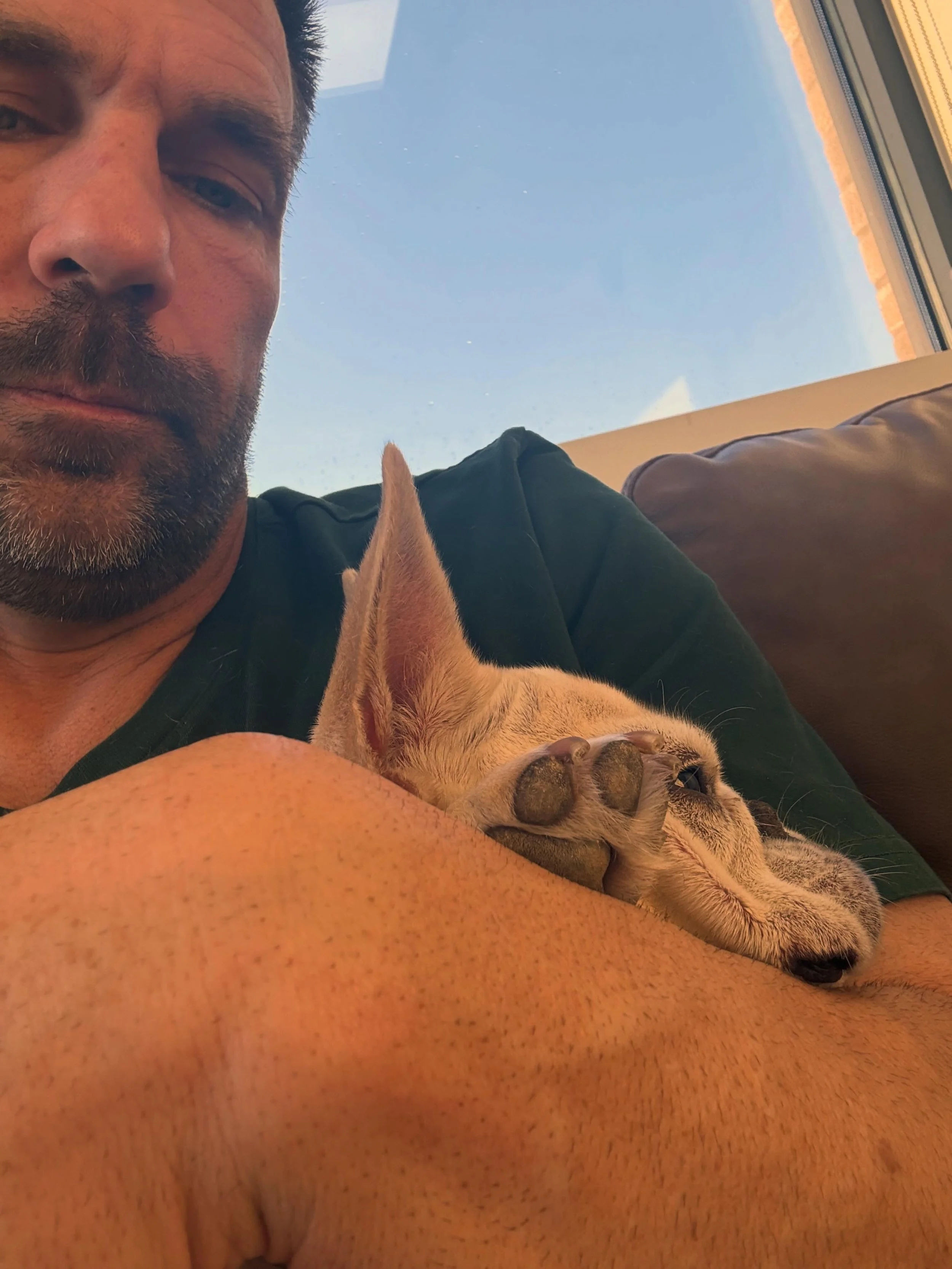 They love us unconditionally.
Just loyalty, forgiveness, comfort, and love every single day.

That&rsquo;s why saying goodbye hurts so deeply.
Because a pet gives you one of the purest relationships you&rsquo;ll ever experience. ❤️🐾 #love #frenchie 