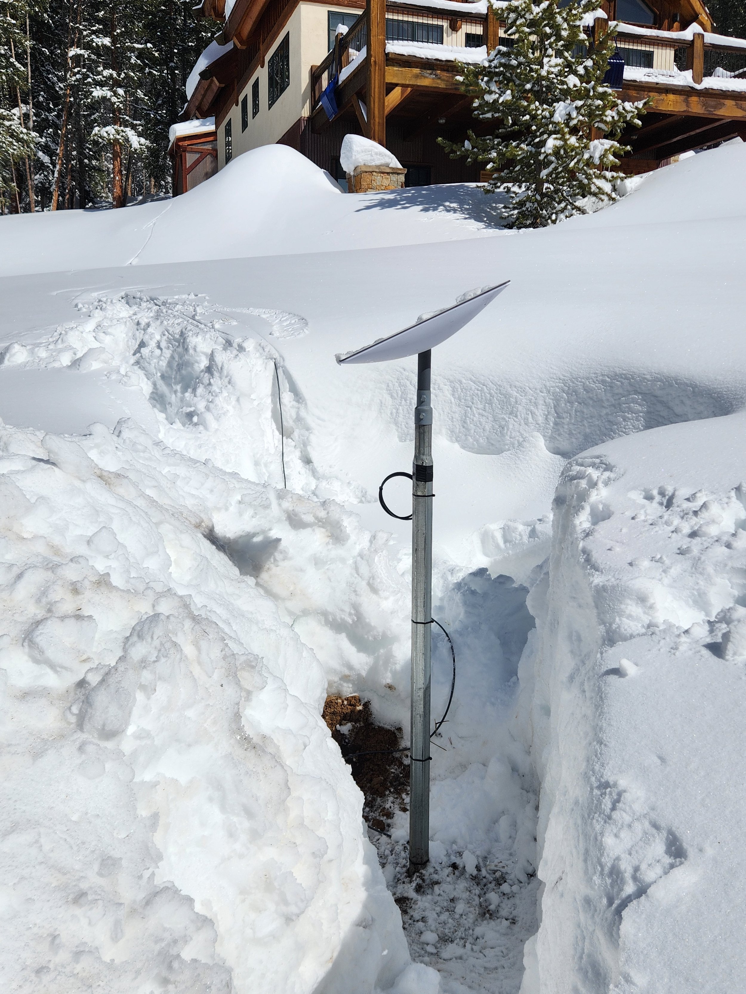 In the snow.jpg