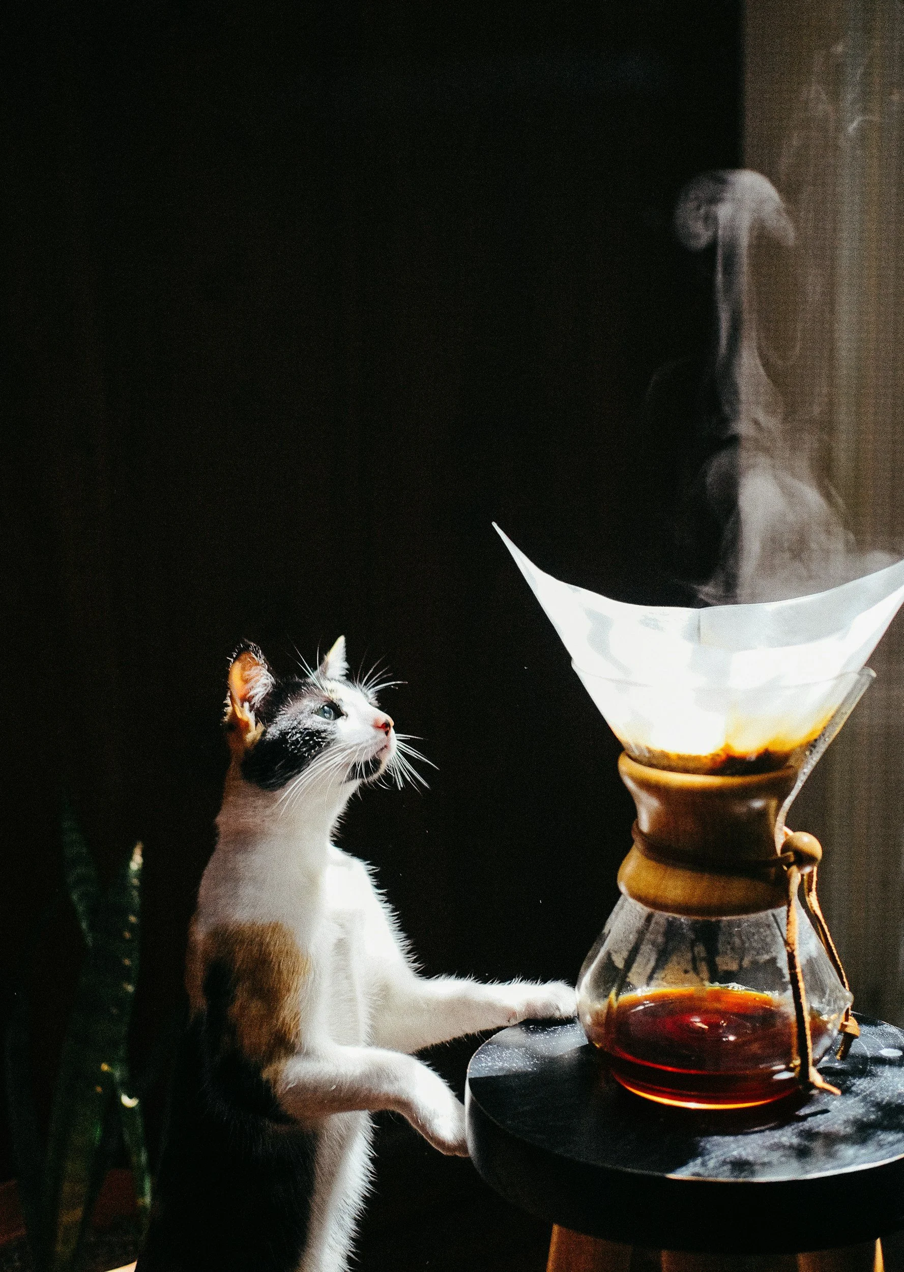 unsplash-image-cG-ctoAAFkU.jpg