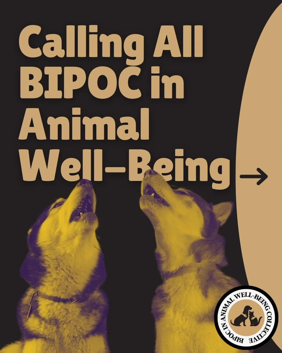 📣 Calling all BIPOC in Animal Well-Being! 📣

For the second year in a row, the BIPOC in Animal Well-Being Collective is thrilled to offer scholarships for BIPOC to attend the Humane World for Animals Animal Care Expo in Pittsburgh, PA (April 7&ndas