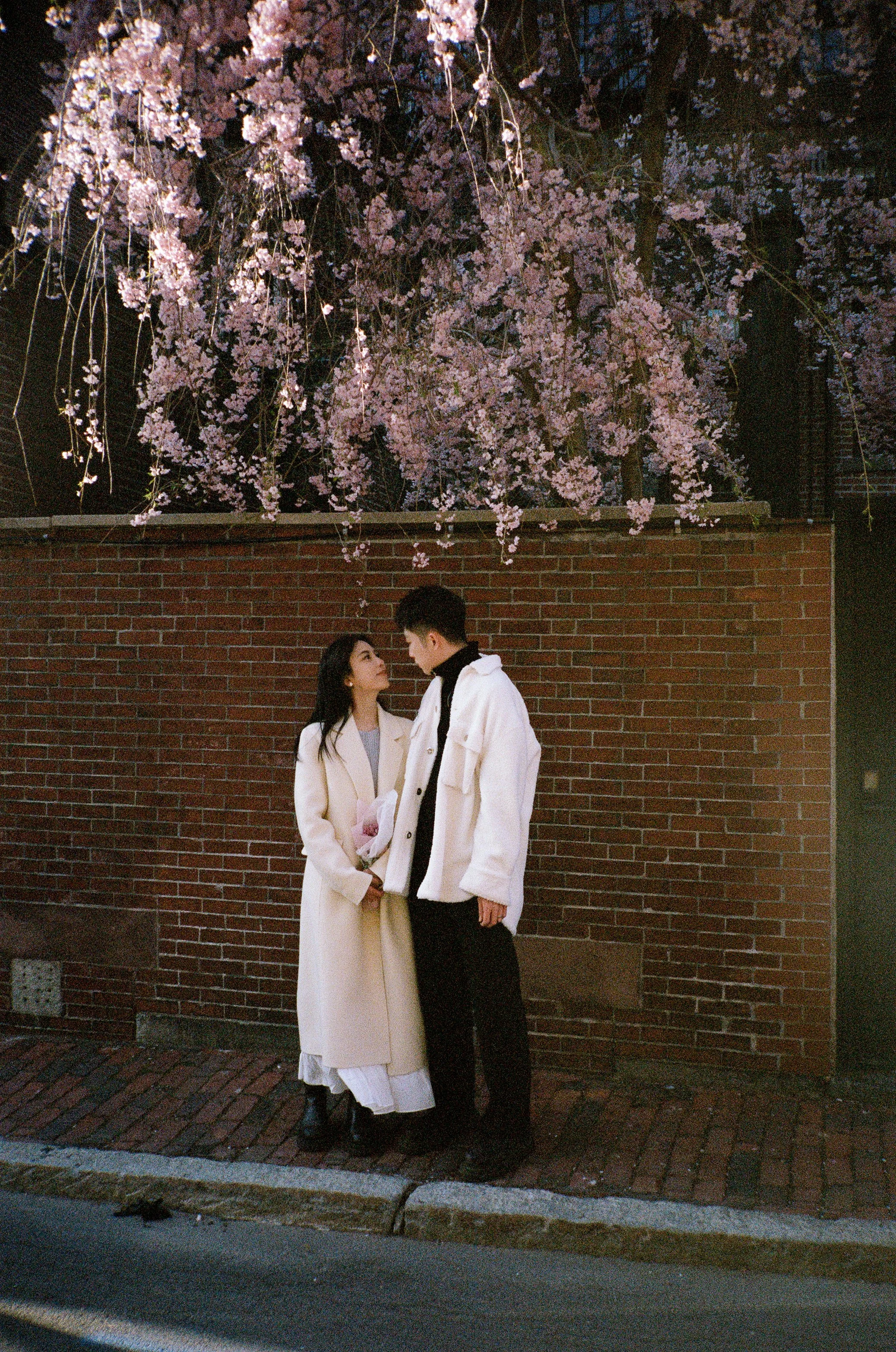 000255520029-Edit.jpg