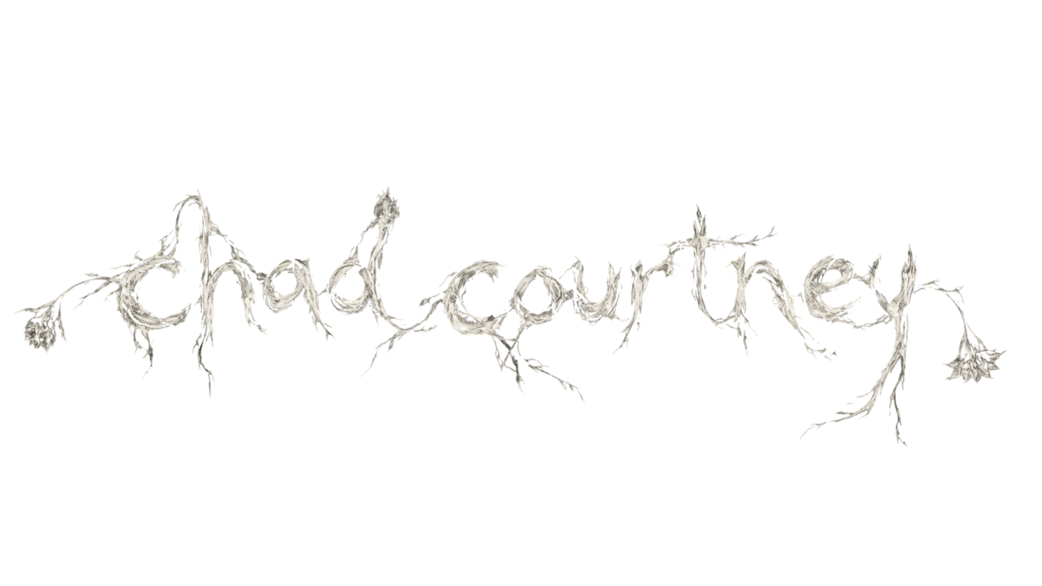 chad courtney