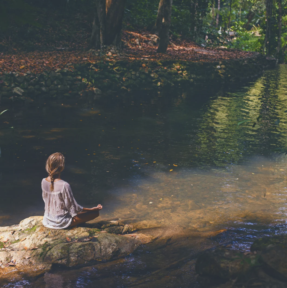 Yoga & Forest Bathing