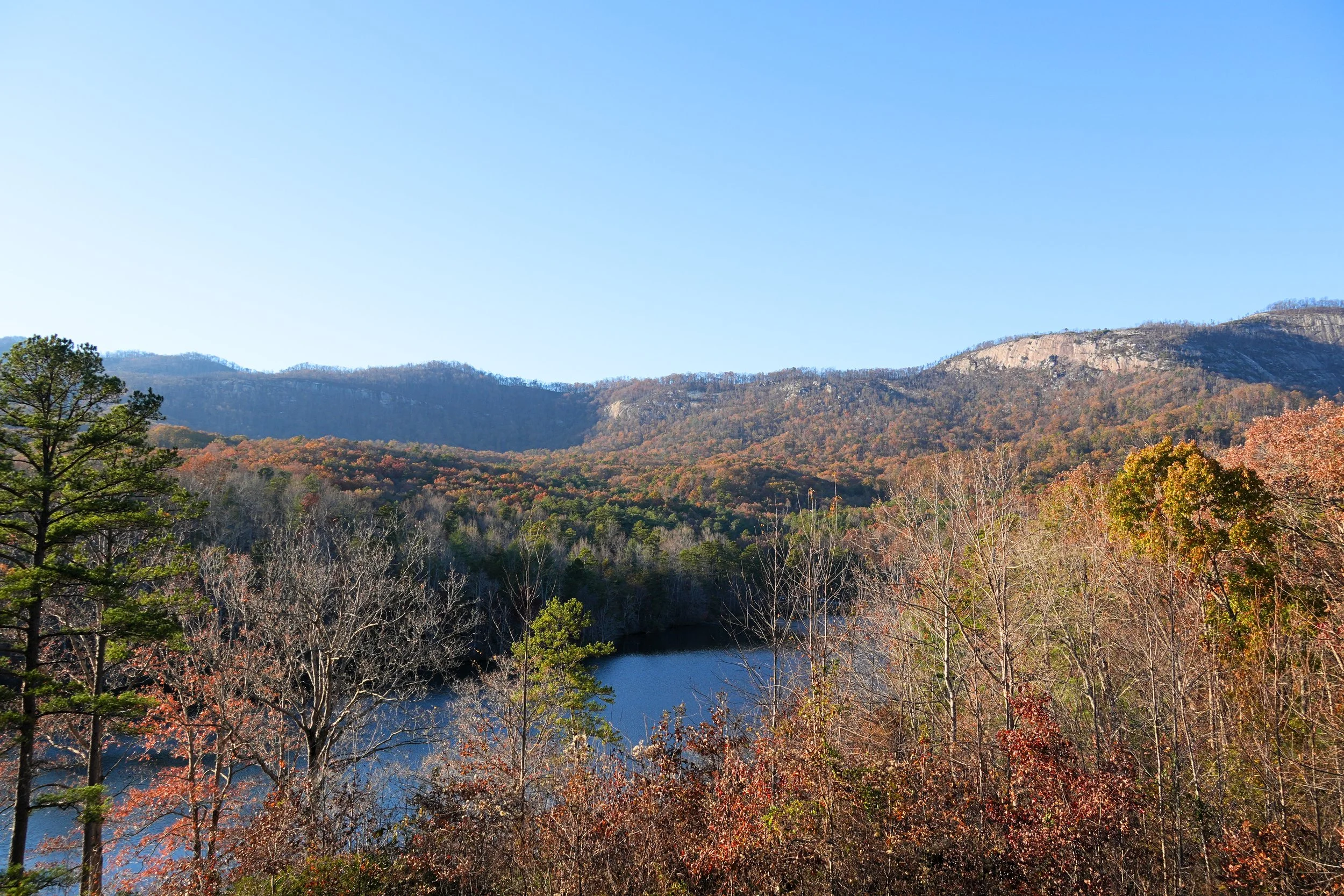 DSC01578 - Edited.jpg